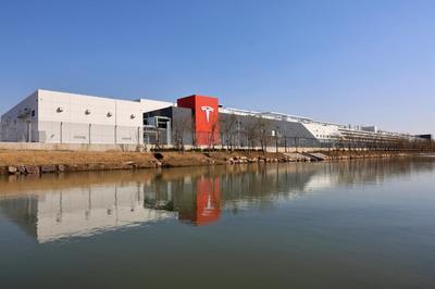 潍坊市政府门户网站与上海企业网站 数字时代的城市名片与营商窗口