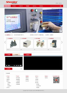 浙江申乐电气 携手上海专业团队，打造数字化企业新门户